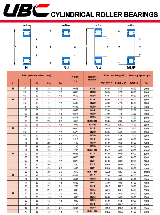 N213%20UBC%20%E0%B8%95%E0%B8%A5%E0%B8%B1%E0%B8%9A%E0%B8%A5%E0%B8%B9%E0%B8%81%E0%B8%9B%E0%B8%B7%E0%B8%99%E0%B9%80%E0%B8%A1%E0%B9%87%E0%B8%94%E0%B8%97%E0%B8%A3%E0%B8%87%E0%B8%81%E0%B8%A3%E0%B8%B0%E0%B8%9A%E0%B8%AD%E0%B8%81%20N213EM%20(%20Cylindrical%20Roller%20Bearings%20)%20N213%20EM%20-%20Image%204