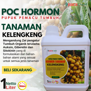 Pupuk hormon untuk kelengkengPupuk organik untuk pohon kelengkengPupuk pelebat buah kelengkeng