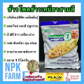 ข้าวโพดสามสี 1 กิโลกรัม หมดอายุ 15/03/2569 ลอตใหม่ งอกดี ข้าวโพด สามสี ขาว เหลือง ม่วง แปซิฟิค ข้าวโพดหวาน ลูกผสม ฝักใหญ่ หวานเหนียวนุ่ม อร่อย. 