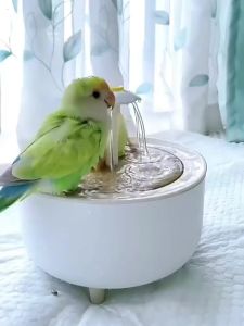 MANON ROSA Bird Bath for Parakeets - Small Bird Shower Bathing Fountain with Filtered Circulating Water Pool Sink for Parrots Lovebirds Conures Finches Cockatiels - Easy-CleanAccessories (Clear)