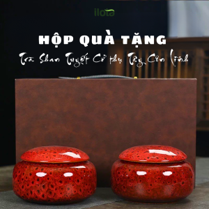 Hộp Trà Đôi Shan Tuyết Quà Tặng Trung Thu Thượng Hạng Hộp Giả Da Cao Cấp