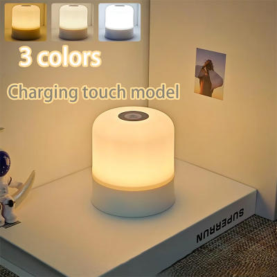 Dimmable Night Lamp LED Touch Lights USB Dim Light Small Bedside Lamps Rechargea