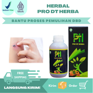 Obat demam berdarah dengue anak dewasa dbd herbal temulawak madu