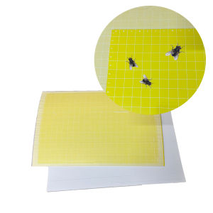 Tấm keo vàng bắt muỗi côn trùng dính tốt dùng được tất cả loại đèn Size 46x30cm