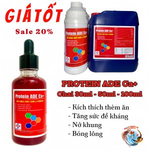 PROTEIN ADE Ca+ (Chai 1L) - Nuôi gà tơ nở khung lên cân bóng lông cho gà