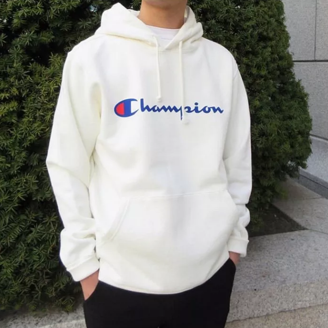 Sweater sale hoodie champion