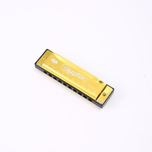 10 Holes Harmonica Music Toy for Kids Portable with Box Musical Instrument for Beginner Teaching