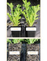 Growth Technology Root Ultra Plus Root Booster Transplant Additive Organic Plant Extracts Seaweed Vitamins Foliar Apply Soil Drench For Explosive Healthy Rooting. 