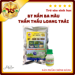 Bộ đôi trừ sâu hữu cơ: Nấm Ba Màu + Thẩm thấu loang trải (thuốc sâu) - gói 1kg