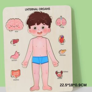Hntob 22.5*18cm Wooden Lnternal Organs Multilayer Board Puzzle Educational Matching Toy Human Body