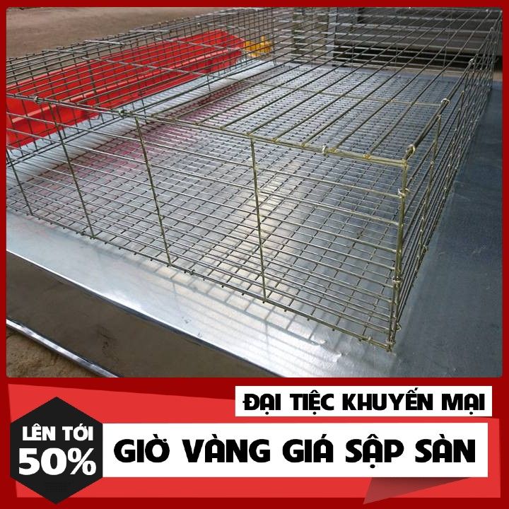 L%E1%BB%92NG%20NU%C3%94I%20CHIM%20C%C3%9AT-CHU%E1%BB%92NG%20NU%C3%94I%20C%C3%9AT%20%C4%90%E1%BA%BA-CHU%E1%BB%92NG%20NU%C3%94I%20C%C3%9AT%20C%C3%94NG%20NGHI%E1%BB%86P%20-%20Image%204