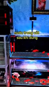 Bộ Lọc Baki 3 Tầng 30x20x35cm Khoan Sẵn Có Nắp + Bơm Baoyu 102 (15W) + Vật Liệu Lọc