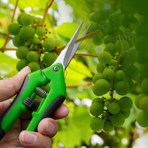 Pruning Shears Cutter Home Gardening Plant Scissor Branch Pruner Hand Tool Pruning Shears Flower Fruit Tree Garden Shears Stainless Steel Garden Scissors Trimming Gardening  Tools