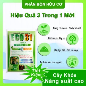 Phân Bón ECO31 – Bung Rễ Mạnh Đi Đọt Nhanh Xanh Cây Dày Lá – Gói 1kg