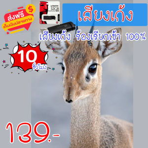 เสียงต่อเก้ง ต่อฟาน ร้องเรียก mp3 ความยาว 10 ชม.เสียงชัด เสียงใสกังวาน ได้ผล100%