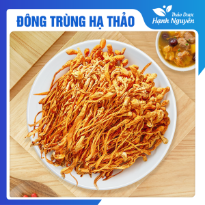 Đông trùng hạ thảo 1kg sợi to vàng thơm trà đông trùng đẹp da chống lão hóa bồi bổ sức khỏe.