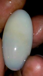 Kalimaya Banten Asli Super Jumbo: Kualitas Tinggi & Penggunaan Sehari-hari