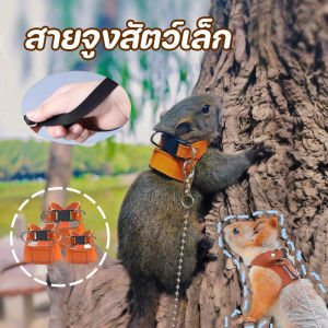 COD ใหม่ เชือกจูงสัตว์เลี้ยง เสื้อ​พร้อม​สาย​จูง​กระรอก หนูแฮมสเตอร์ กระรอก -[QPETS]
