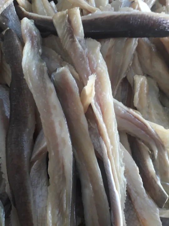 500g%20KH%C3%94%20C%C3%81%20D%E1%BB%A8A%20S%E1%BB%A2I%20KH%C3%94NG%20X%C6%AF%C6%A0NG%20%C4%82N%20L%C3%80%20GHI%E1%BB%80N%20-%20Image%205