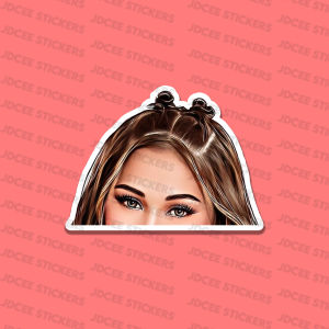 PEEKER STICKERS BINI members | Waterproof