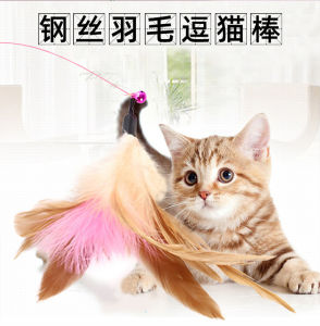 Feather Bell and Ring