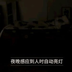 Lampu tidur sensor gerak/Lampu LED otomatis menyala