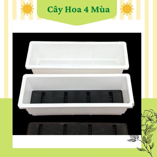 COMBO 4 Chậu nhựa dài trồng rau hình chữ nhật SIZE 48 ( 48X20X16) + GIÁ ...