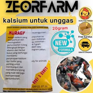 3 biji muragy kalsium pembentuk tulang ayam baik masa pertumbuhan kalsium unggas zeorfarm