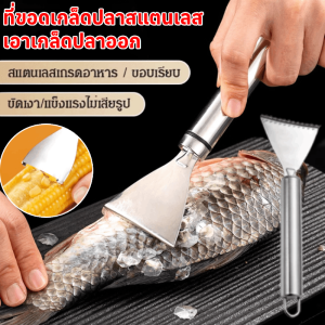 ที่ขอดเกล็ดปลาสแตนเลส ที่ขูดเกล็ดปลา เรียบ 3 วินาที เอาเกล็ดปลาออก อุปกรณ์ขอดเกล็ดปลา เครื่องขอดเกล็ดปลา Fish Skin Scale Removal