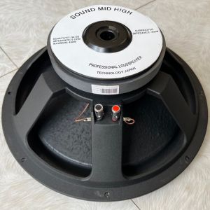 BASS SUB 40 CAO CẤP TỪ 170 (1533) MÀU ĐEN ( HẢI TRIỀU )