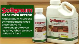 Solignum All Around Clear Anti-Anay Amag & Bukbok GALLON【Fast Delivery】