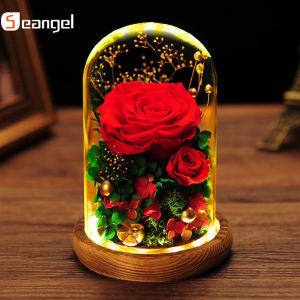 ดอกไม้กุหลาบ Eternal แบบโดมในแก้วพร้อมแถบไฟ Ledของขวัญปีใหม่วันขอบคุณพระเจ้าวันคริสต์มาสวันแม่วันเกิด