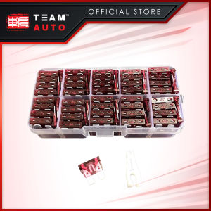 TeamAutoCare TAC6252 100 Pieces Automotive Standard ATO Blade Fuse 40A Replacement Kit with Storage Case and Fuse Puller for Cars Trucks Motorcycles