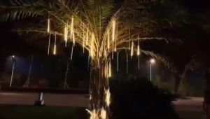 LED Meteor Shower Rain Lights Waterproof Cascade String Lights for Outdoor Garden Tree Decorative Falling Raindrop Ice Drop Hanging Lights for Christmas Holiday Party