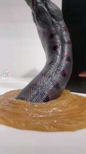 Anaconda Action Figures / Titanoboa Snake Statue Limited Edition Collection