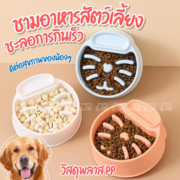ชามอาหารสัตว์เลี้ยงชะลอการกิน พร้อมช่องแยกอาหารเปียก
