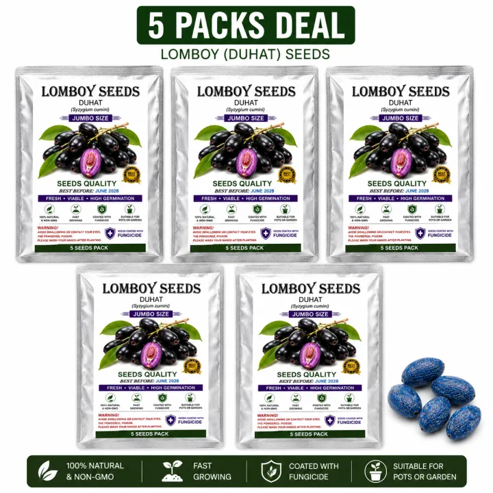 Lomboy%20(DUHAT)%20Jumbo%20Variety%20Seeds%20%E2%80%93%20Coated%20with%20Fungicide%20%7C%20Seeds%20Pang%20Tanim%20-%20Image%205