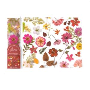 5Pcs Natural Dry Flower Leaf Bookmarks Handmade Dried Flower Bookmarks Book Marker Reading Aid for Book Lover Student