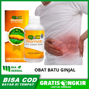 Obat Batu Ginjal Obat Herbal Kencing Batu - Qnc Jelly Gamat 300 ml