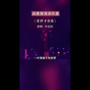 福建 歌曲 usb老歌u盘闽南语usb闽南语情歌大全汽车载U盘经典老歌台语车用音乐mp3U盘高音质90年代歌曲 usb song 經典歌曲福建歌曲