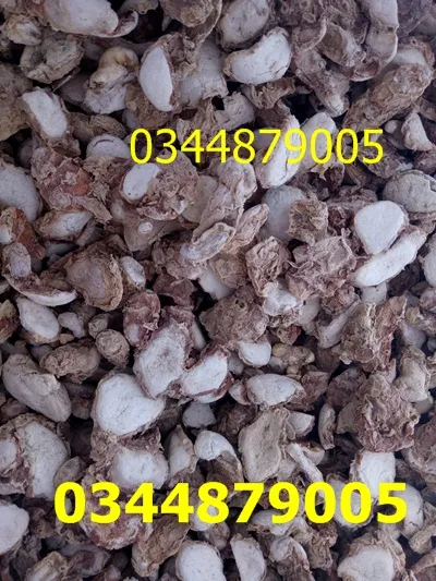 C%E1%BB%A7%20x%C3%A1%20k%C3%A9n/x%C3%A1%20ki%E1%BA%BFng%20kh%C3%B4%200.5kg%20-%20Image%201