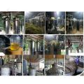 Tinh dầu sả chanh Mộc Mây - tinh dầu nguyên chất từ thiên nhiên - xông phòng, thơm phòng, thư giản, đuổi muỗi. 