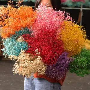 1BUNCH DRIED GYPSO/ GYPSOPHILA/DRIED FLOWER