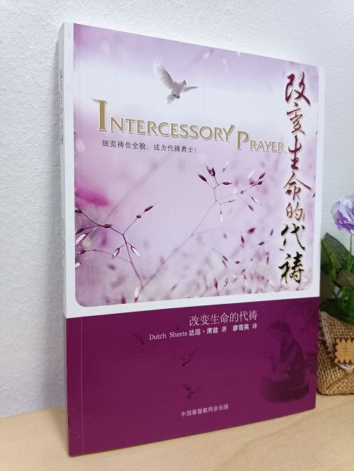 【正版@基督教图书】改变生命的代祷：细缆祷告全貌，成为代祷勇士！ INTERCESSORY PRAYER [美] 达屈.席兹 (Dutch ...