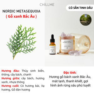 Bộ khuếch tán tinh dầu Chillme đá pha lê thơm phòng decor bàn làm việc quà tặng sang trọng