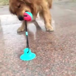 PETCARESMY DOG CHEW TOY MOLAR RUBBER Pet Bite Teething Clean Teeth Treats Squeaky Ball Bell Rope Ball Chew Toys