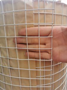 (ยกม้วน30m) ช่องตา1นิ้ว 1/2นิ้ว 3/4นิ้ว ขนาดสูง0.9m/1.2m #18 ลวด0.9mm-1.2mmPVC ตาข่ายลวดสี่เหลี่ยมหุ้ม PVC กรงไก่เคลือบพีวีซี(สีเขียว/สีขาว/สีดำ)