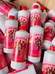 Nước cắm hoa giữ hoa tươi lâulọ to 500ml nước chăm sóc hoa và cây không bị thối giữa