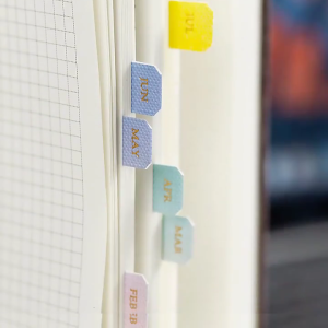 10 Sheets Index Stickers Monthly Tabs Monthly Calendar Stickers Adhesive Tabs for Office Planners Organizations