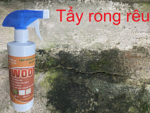 Tẩy rong rêu tẩy trắng ron gạch tẩy xi măng tẩy rỉ sét tẩy cặn caxi trên bề mặt sàn gạch xi măng đá mài